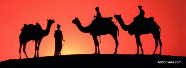 Camels Silhouette