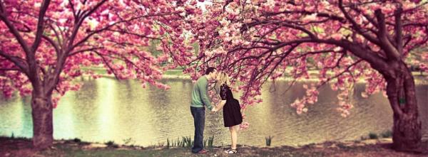 Sakura Love (Kiss among cherry blossoms)