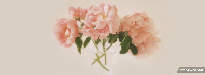 Pink Flowers {Flowers Facebook Timeline Cover Picture, Flowers Facebook Timeline image free, Flowers Facebook Timeline Banner}