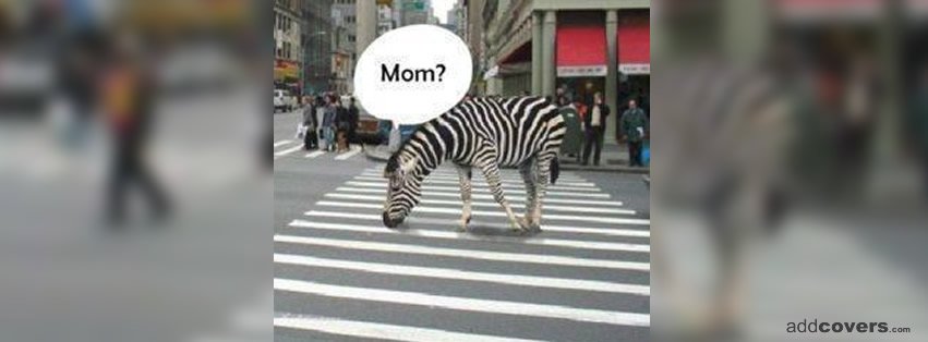 Mom? {Funny Facebook Timeline Cover Picture, Funny Facebook Timeline image free, Funny Facebook Timeline Banner}
