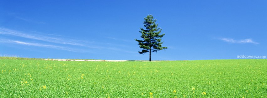 Lonely Tree {Scenic & Nature Facebook Timeline Cover Picture, Scenic & Nature Facebook Timeline image free, Scenic & Nature Facebook Timeline Banner}
