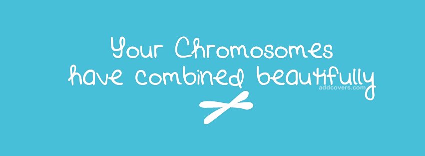 Chromosomes {Random Stuff Facebook Timeline Cover Picture, Random Stuff Facebook Timeline image free, Random Stuff Facebook Timeline Banner}