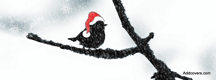 Santa Bird {Holidays Facebook Timeline Cover Picture, Holidays Facebook Timeline image free, Holidays Facebook Timeline Banner}