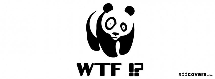 Wtf Panda {Funny Facebook Timeline Cover Picture, Funny Facebook Timeline image free, Funny Facebook Timeline Banner}