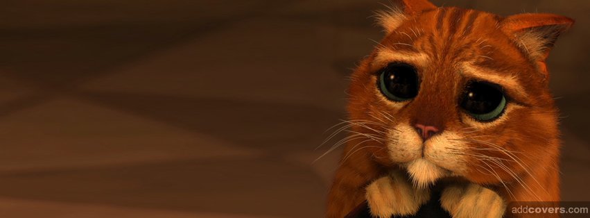 Shrek 3 Cat {Movies Facebook Timeline Cover Picture, Movies Facebook Timeline image free, Movies Facebook Timeline Banner}