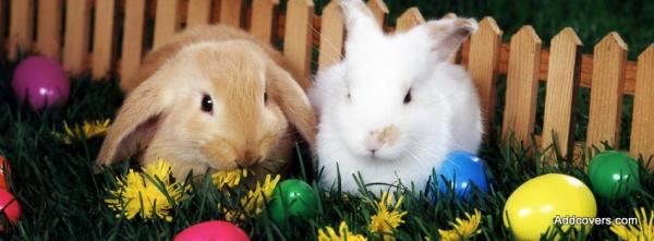 Easter Bunnies