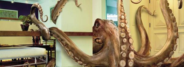 Giant Octopus