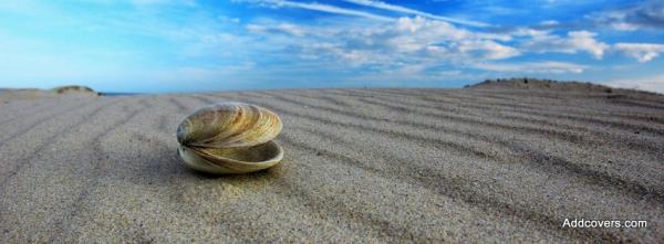 Shell on the Sand