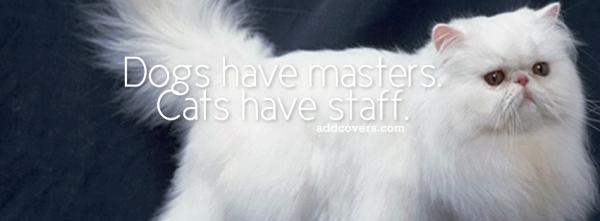 Cats have staff