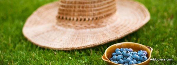 Straw Hat and Blueberry