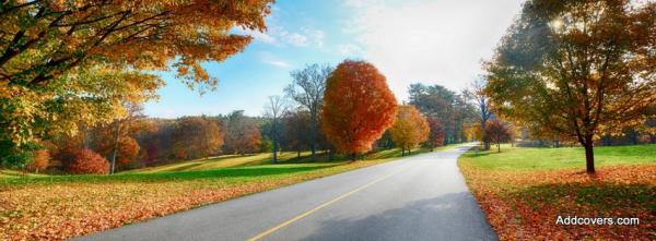 Autumn Road