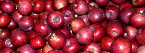 Red Apples