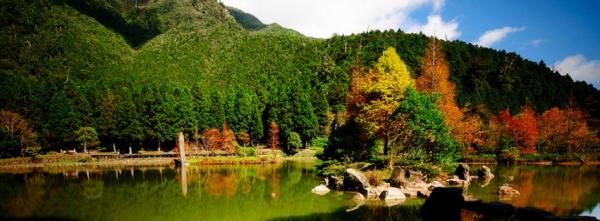 Autumn Lake View