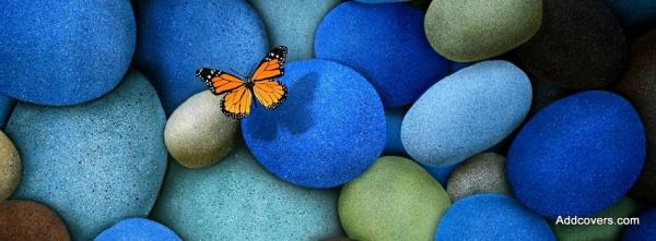 Colorful Beach Stones