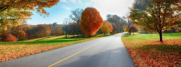 Colours of Autumn