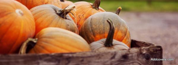 Halloween Pumpkin Hunt