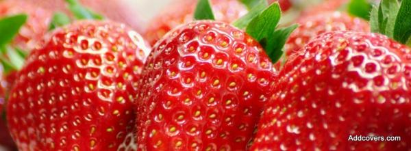 Fresh Strawberry