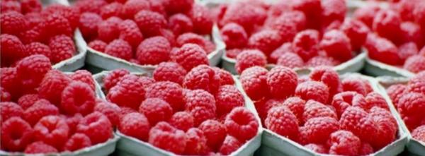 Farmer's Market Raspberries