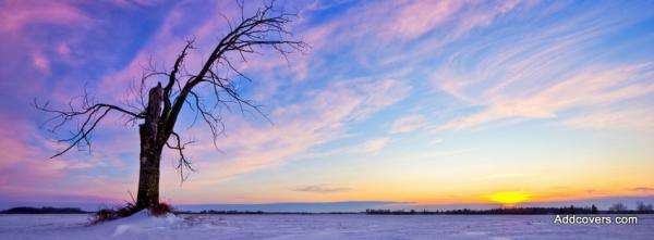 Purple Landscape