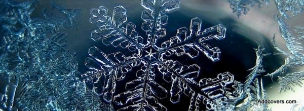 Ice Snowflake