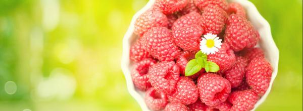 Basket of Raspberries