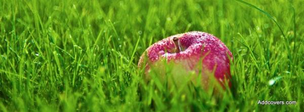 Red Apple on Green Grass