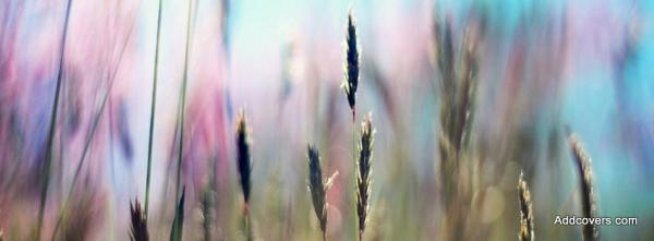 Spikelets