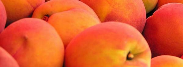 Fresh Peaches