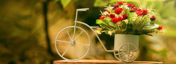 Bike Flower Pot