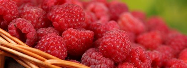 Fresh Raspberry