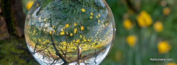 Bubble Reflection