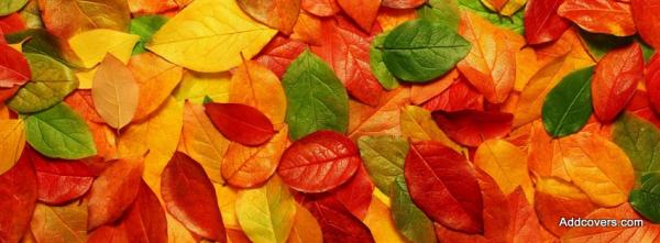 Autumn Leaves