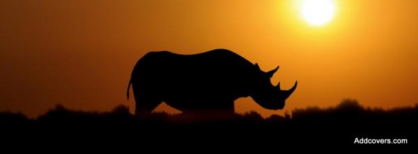 Rhino at Sunset