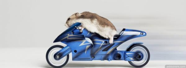 Mouse on Motorcycle