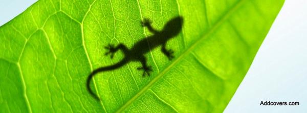 Lizard Silhouette