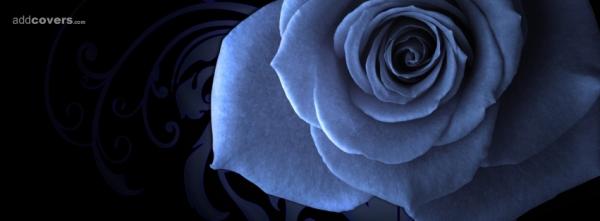 Blue Rose