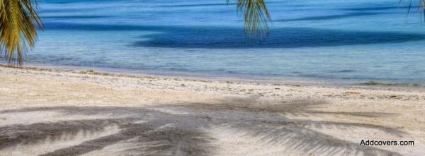 Palm Tree Shadow