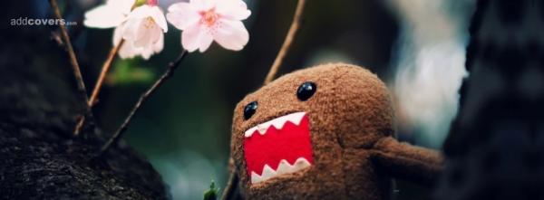 Domo