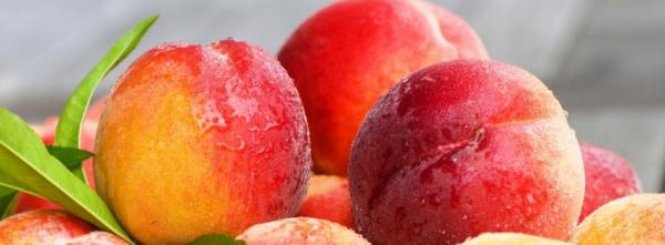 Fresh Peaches