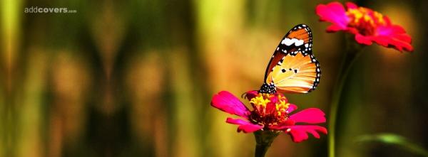 Butterfly & Flower